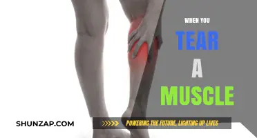 Tearing a Muscle: What to Do and What Not to Do