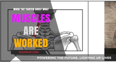 Tighten Your Chest: Unlocking the Muscles Behind the Squeeze