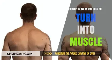 Does Fat Transform into Muscle During Workouts? Debunking Fitness Myths