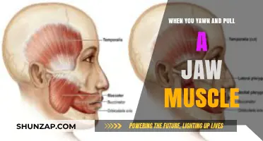 Yawning Gone Wrong: How to Heal a Pulled Jaw Muscle Fast