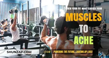 Why Muscles Ache Post-Workout: Unraveling the Science Behind the Pain
