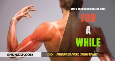 Understanding Prolonged Muscle Soreness: Causes, Remedies, and Recovery Tips