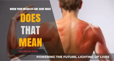 Muscle Soreness Explained: What Your Aching Muscles Are Telling You