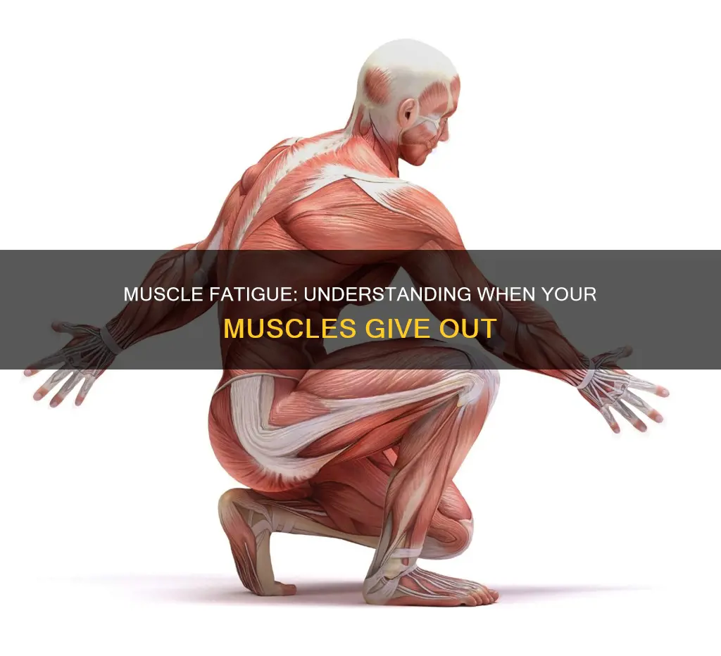 when your muscles give out