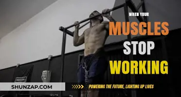 Muscle Failure Explained: Understanding When Your Muscles Stop Working