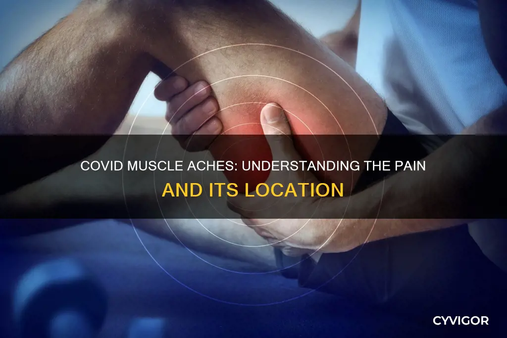 where are covid muscle aches