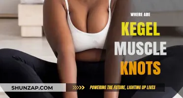 Kegel Muscle Knots: Where Are They Located?