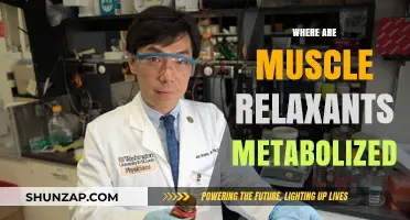 Understanding Muscle Relaxant Metabolism: Key Sites and Processes Explained