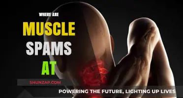 Muscle Spasms: Where and Why They Occur