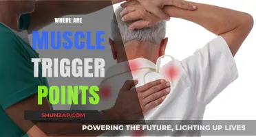 Trigger Points: Muscles' Hidden Pain Points