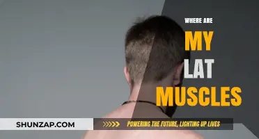 Where are Your Latissimus Dorsi Muscles Located?