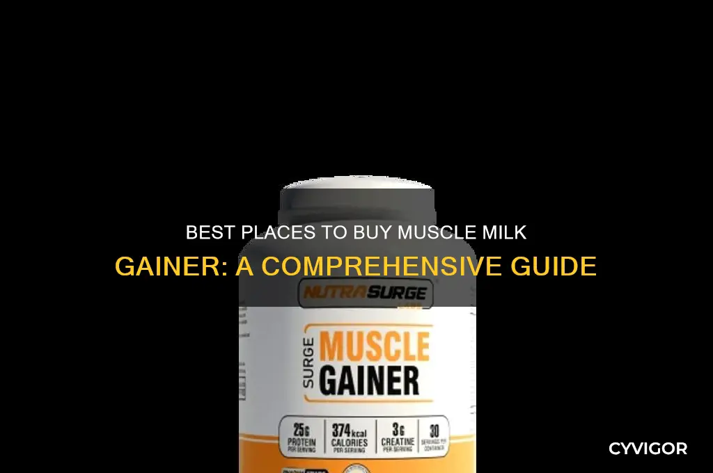 where can i buy muscle milk gainer