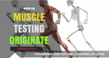The Origin of Muscle Testing: A Historical Perspective