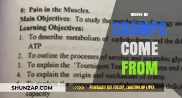 Unraveling the Mystery: Understanding the Origins of Cramps