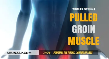 Pulled Groin Muscle Pain: Location, Symptoms, and Relief Tips