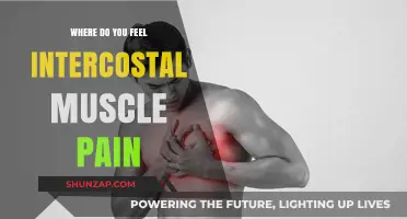 Where Does Intercostal Muscle Pain Occur? A Comprehensive Guide