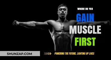 Where Do You Gain Muscle First: Understanding Your Body's Growth Pattern