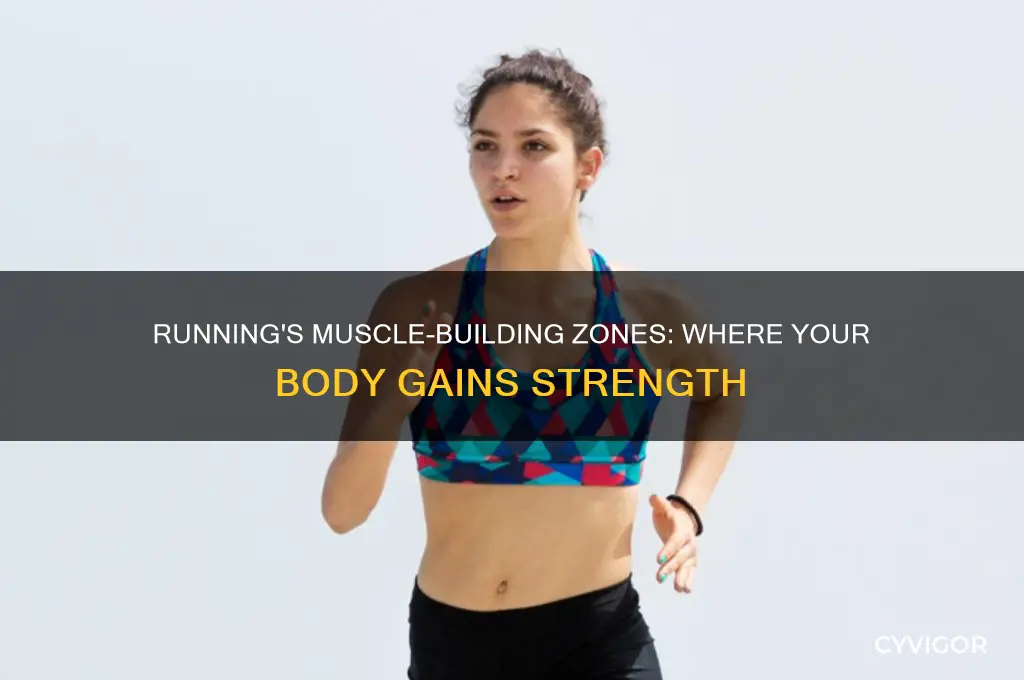 where do you gain muscle when running