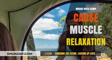 How Camping Triggers Muscle Relaxation: Nature's Healing Power Explained
