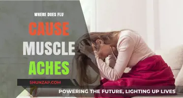 Why the Flu Triggers Muscle Aches: Understanding the Body's Response