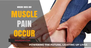 Understanding HIV-Related Muscle Pain: Common Locations and Symptoms Explained