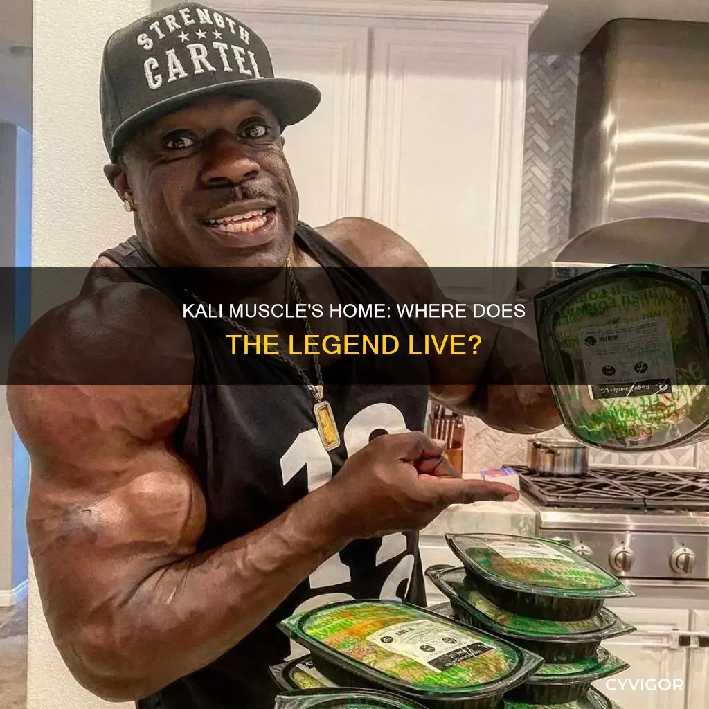where does kali muscle live
