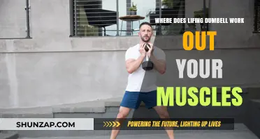 Lifing Dumbbells: Target Muscles and Effective Workout Benefits Explained