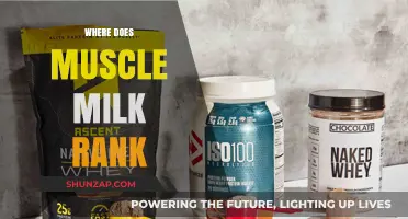Muscle Milk: A Top-Tier Protein Drink?
