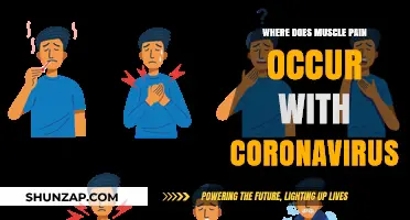 Coronavirus and Muscle Pain: Common Aches and Areas Affected