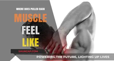 Understanding Pulled Back Muscle Pain: Location, Sensation, and Relief Tips