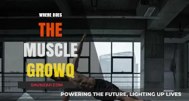 Unlocking Muscle Growth: Understanding the Science