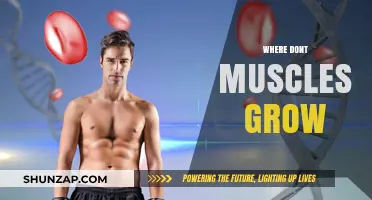 Unveiling the Surprising Truth: Where Muscles Refuse to Grow