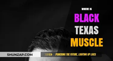 Finding Black Texas Muscle: A Historical Perspective