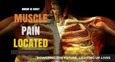 Understanding Chest Muscle Pain: Location, Causes, and When to Worry