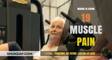 COVID-19 Muscle Pain: Causes, Locations, and Relief Strategies Explained