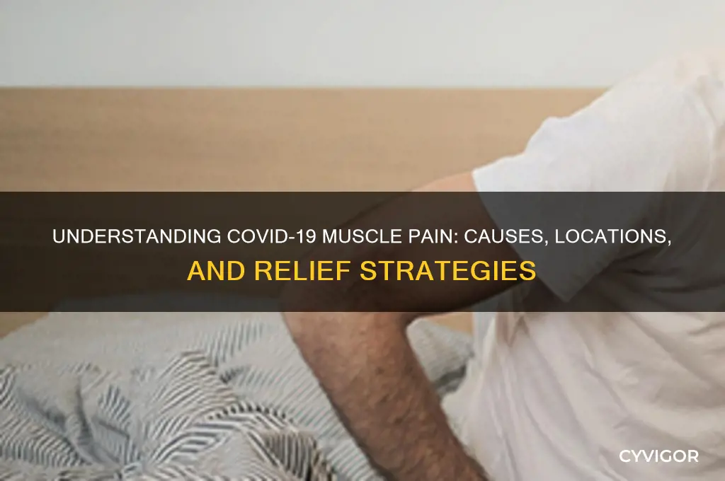 where is covid muscle pain