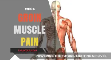 Understanding Groin Muscle Pain: Causes, Location, and Relief Strategies