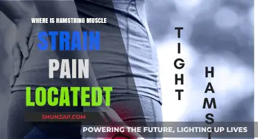 Where Does Hamstring Strain Pain Occur? Location and Symptoms Explained