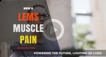 Understanding Lems Muscle Pain: Causes, Locations, and Relief Strategies