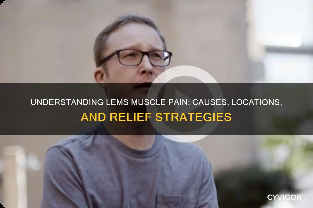 where is lems muscle pain