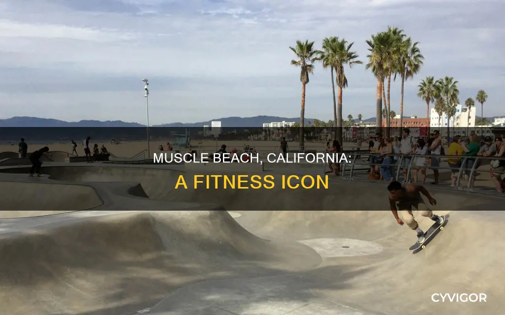 where is muscle beach ca