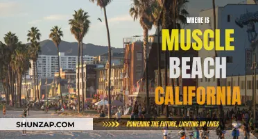 Muscle Beach California: A Historical Outdoor Gym