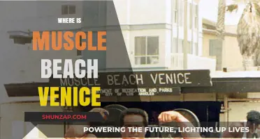 Muscle Beach Venice: A Guide to the Iconic Gym Spot