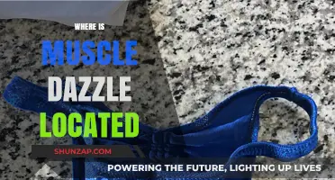 Muscle Dazzle: Where Are They Located?