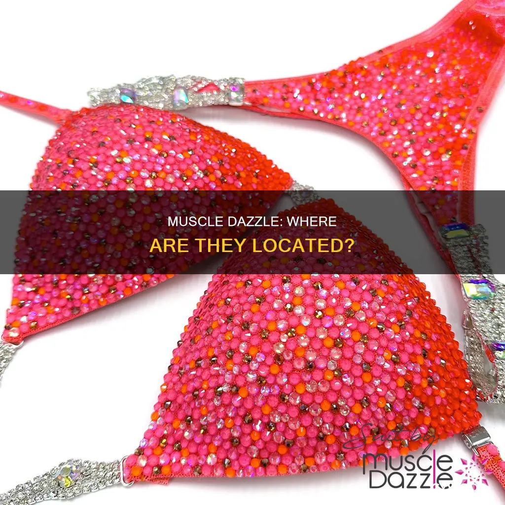 where is muscle dazzle located