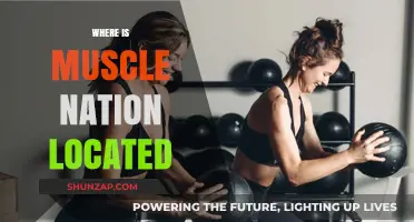 Muscle Nation: Where Is This Fitness Brand Based?