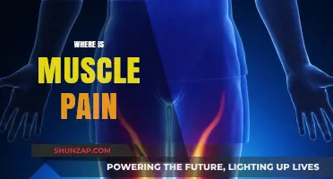 Understanding Muscle Pain: Common Locations and Causes Explained