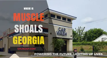 Muscle Shoals, Georgia: A Historical Town's Location