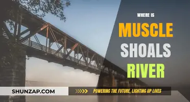 Muscle Shoals River: Where is this Historic River?