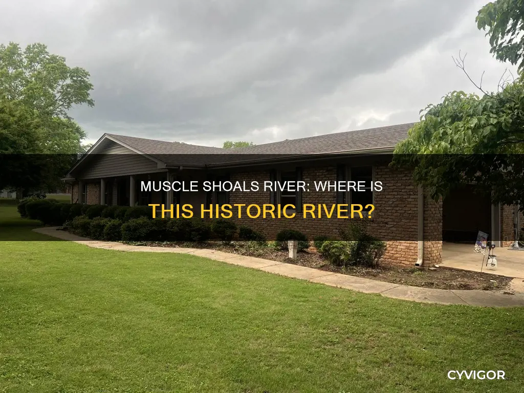 where is muscle shoals river